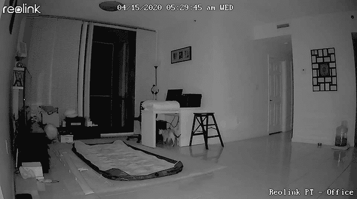 Reolink Argus PT NighVision Indoor Reolink Argus PT NighVision Indoor
